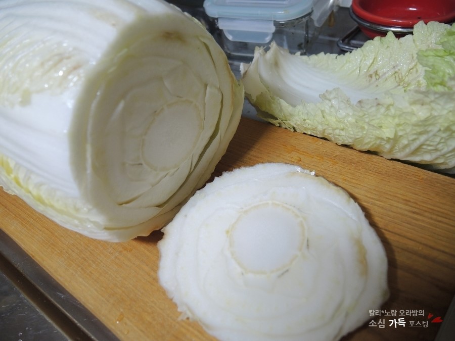 白菜は冷凍できるか？気になる疑問やメリット、保存時のコツを解説 – 野口ファーム