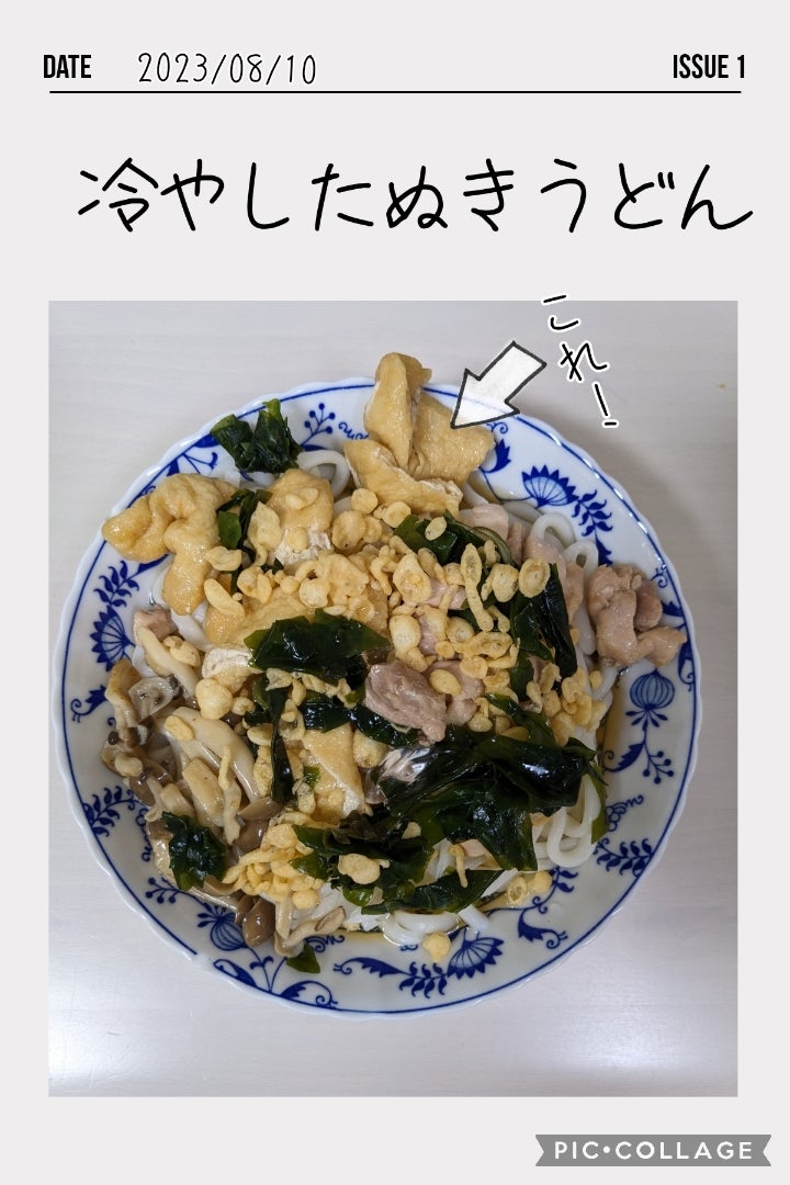 さっぱり定番の味！ 冷やしたぬきうどん