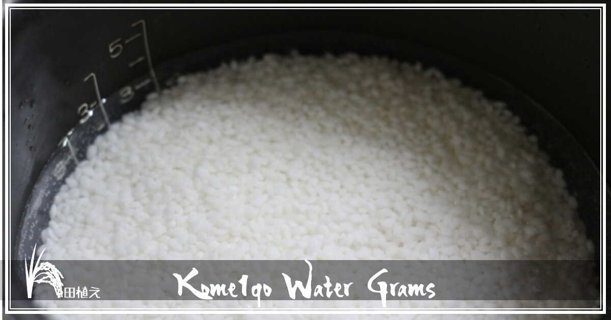 おいしく炊けるお米の水の量は？種類別にご紹介デリッシュキッチン