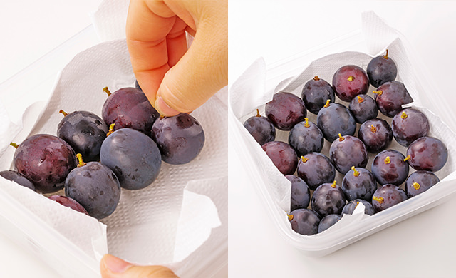 ぶどうを長持ちさせる保存方法ご紹介！ – Katerial カテリアル