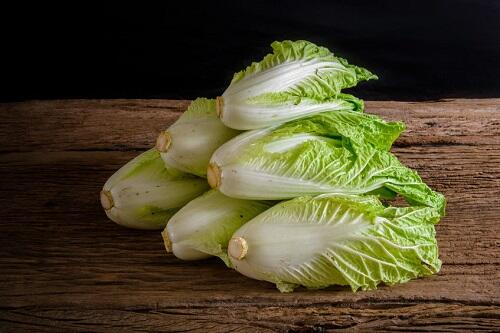 アサヒ交配 オレンジミニ白菜 白菜の種 固定種 在来種に強い 野菜のタネ専門通販サイトアサヒのぐるたね