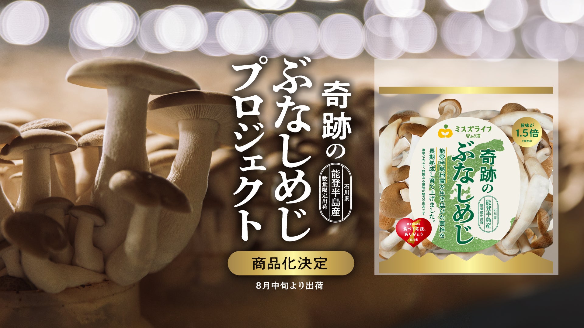 大粒 石づきがない 南魚沼産 ぶなしめじ 約180g