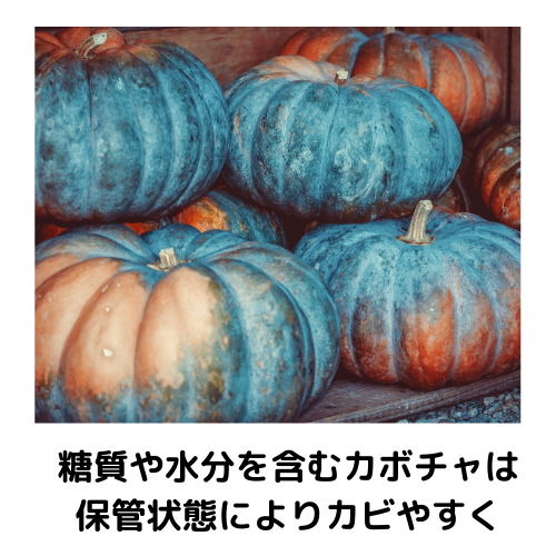 かぼちゃにカビが生えた！わたや種なら取り除けば食べれる？食・料理オリーブオイルをひとまわし