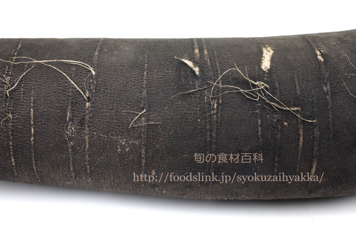 大量消費に最適☆旬の野菜『青首大根』を使った個性派レシピ 洋風＆中華 3選 季節・暮らしの話題 2022年01月29日- 日本気象協会tenki.jp