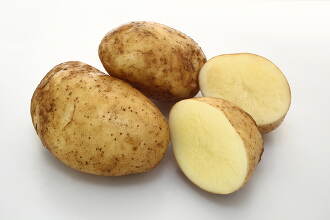 じゃがいも 男爵 10137005916 の写真・イラスト素材アマナイメージズ