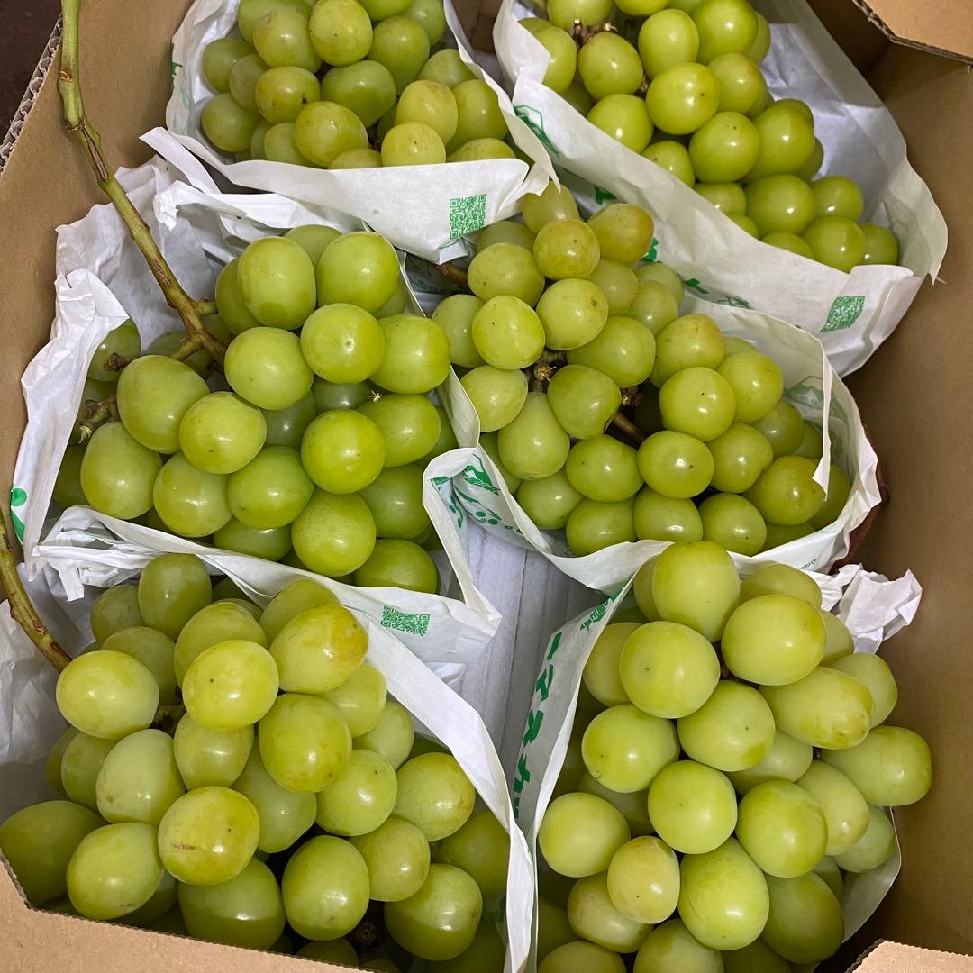 ぶどうの消毒時期☆シャインマスカット家庭栽培 消毒カレンダー1魔法の便利帳