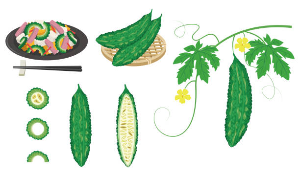 ゴーヤチャンプルのイラスト素材 - PIXTA