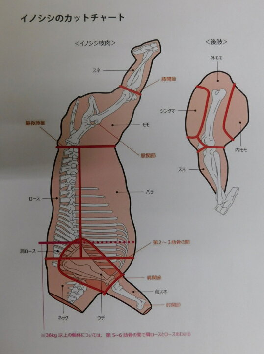 よくある質問 - きんかいジビエ