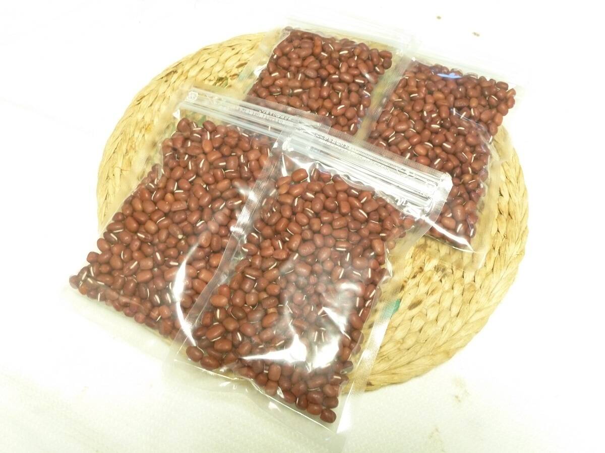 虫退治.COMブログ詳細