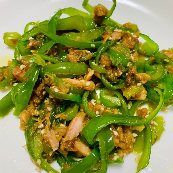 無限ピーマン ツナなし・塩味 240205