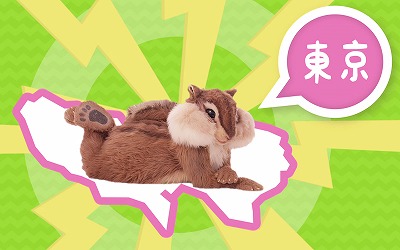 お取り寄せ 家で「リスのチタタプ」が食べられるよ → 一口で世界観が変わった！『珍獣屋』ロケットニュース24