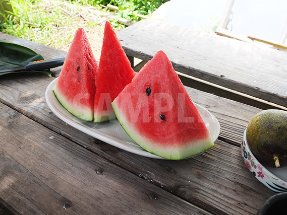 スイカ 写真素材230515無料 - フォトライブラリ