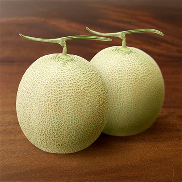 楽天市場 庄内メロン 直売所の通販