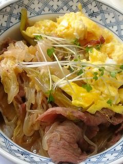 エビス レンジでだし巻きたまご PS－G460 ハンズネットストア