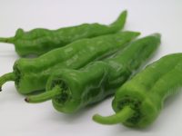 甘長とうがらしの秘密: その甘みと使い勝手の良さを探る - Discovery Japan～生活の知恵～