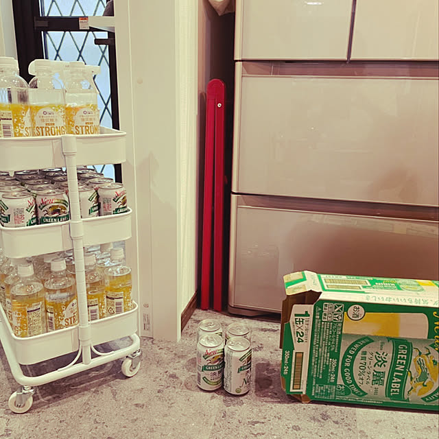 缶ストッカー 缶動ラック 500ml缶用 冷蔵庫 収納 缶 ビール 缶ラック 缶ビールホルダー 350ml缶専用 9本対応 すっきり 庫内 省スペース取り出しやすい 収納ラック 缶ディスペンサー スペース活用 可動式 整理特集 キッチン収納 収納上手 シンプル おしゃれ 父の日TPS