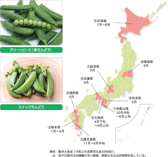 グリーンピース 実とりえんどう青軸ピース - 株式会社信州山峡採種場