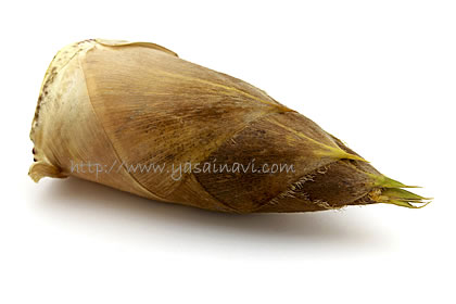 はちくとは？たけのことの違いや下処理方法・レシピもご紹介デリッシュキッチン