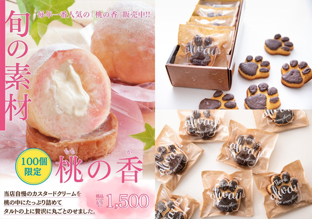 恐竜ケーキ アンキロサウルス 5号サイズ 直径15cm恐竜ケーキ 立体ケーキ 写真ケーキ 似顔絵ケーキ 乗り物ケーキ 車ケーキ バースデーケーキオリジナルケーキ オーダーメイド 超立体 記念日 クリスマス お誕生日 還暦 結婚記念日 お祝い 恐竜好き 写真入る -ケーキ