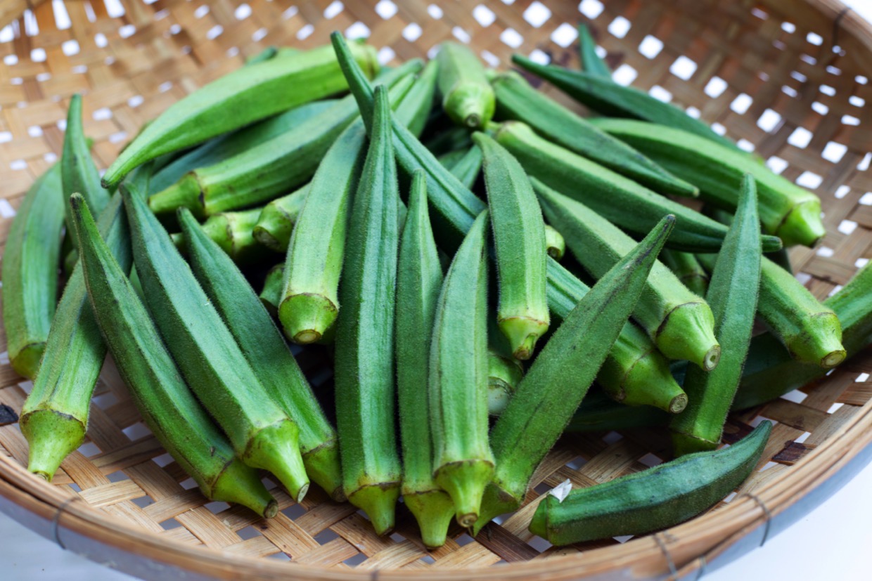 オクラの葉っぱにカビみたいなものが！これはなんですか？雨が降ったあとです。- Yahoo!知恵袋