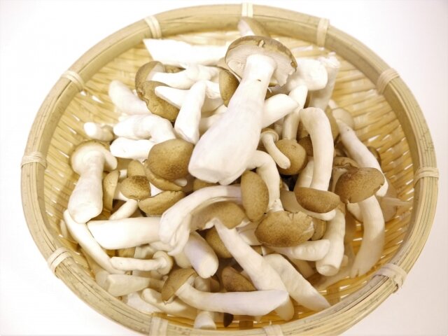 少し考えればわかる？「湿地」なんと読む？ 読めたらすごい漢字クイズsotokoto online ソトコトオンライン