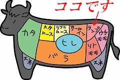 ランプ肉とモモ肉の違いを徹底解説！ - 牛肉会