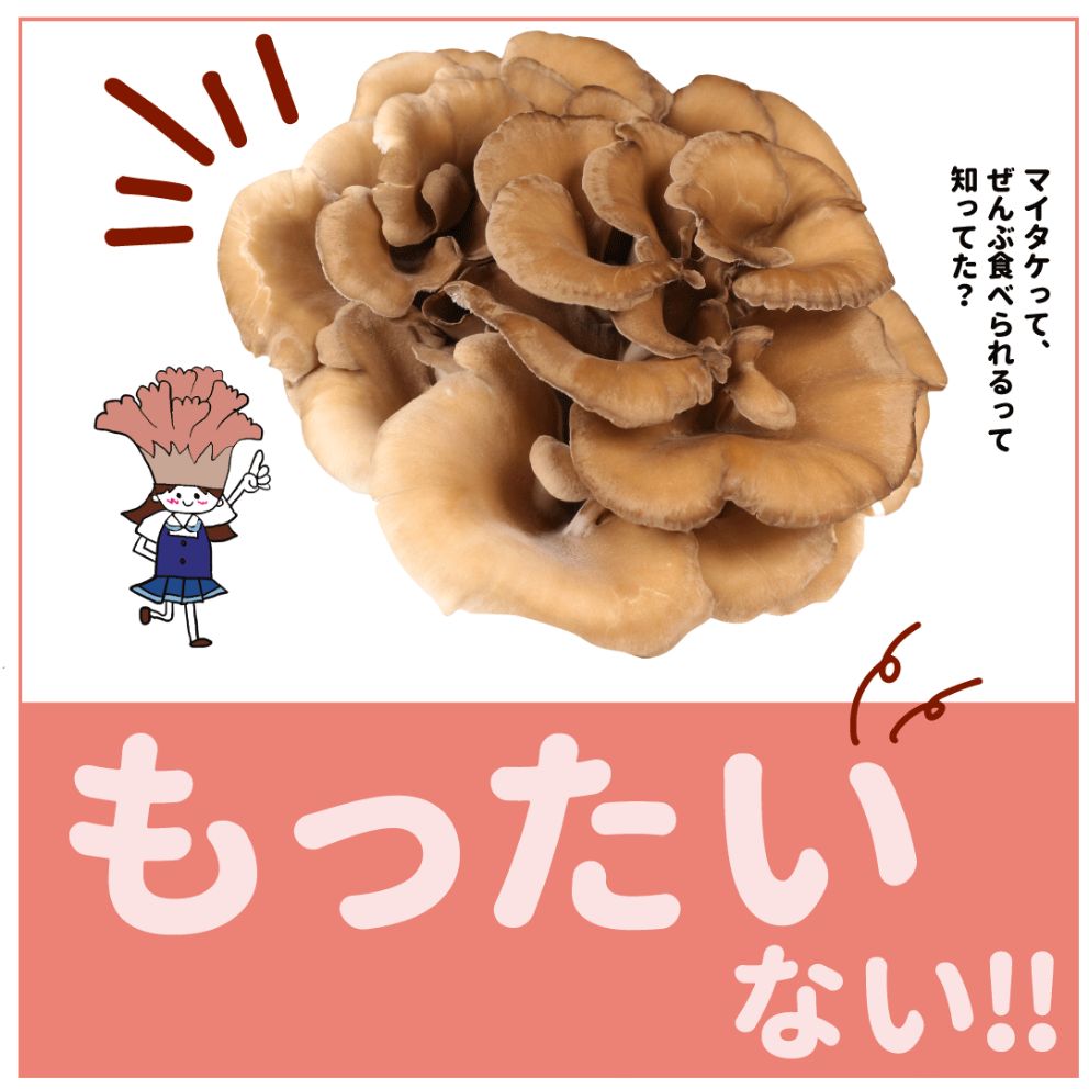 青髪のテツ が語るキノコの掟！「舞茸の“お尻”は捨てるべからず！」おいしいヒケツはコントラストだって？『あたらしい日日』こんな時代のニューノーマルな暮らし方。食と農、生活情報をお届けします