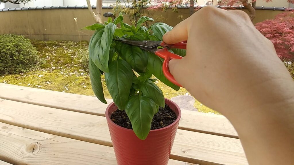 菜園ナビ家庭菜園ナビゲータ