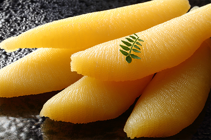 ニシン産卵藻場の発見 中央水産試験場 北海道立総合研究機構