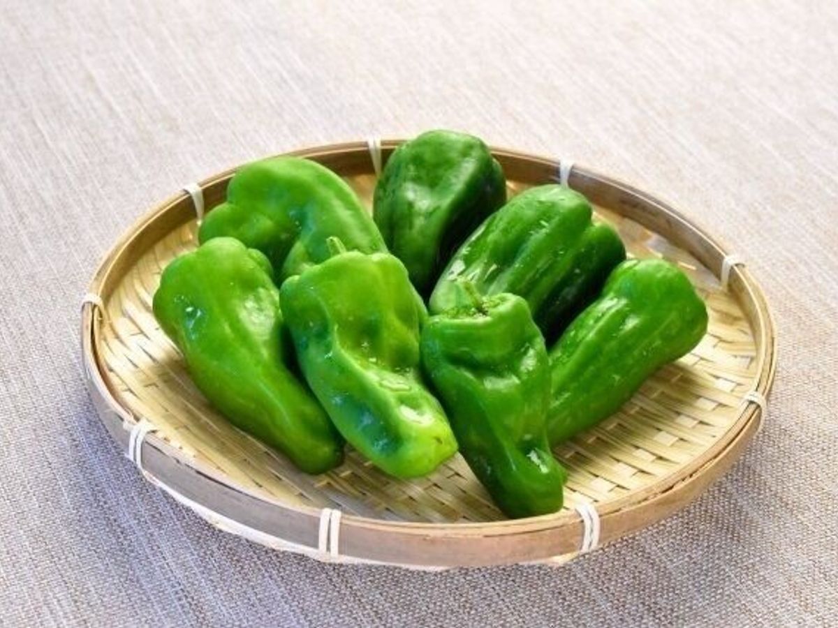 ピーマンを長期保存する方法！4つのやり方と長持ちさせるコツを紹介食・料理オリーブオイルをひとまわし