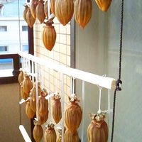 干し柿の作り方 ‥昔ながらの『焼酎』をつけて‥気長に天日干しを‥時々もみながら‥