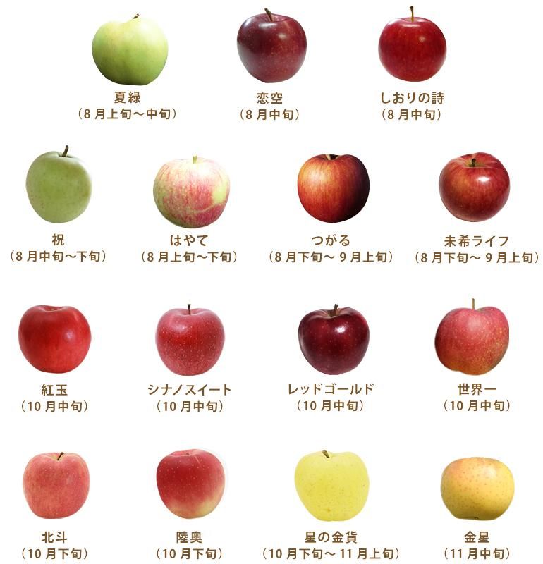 先日動画でご紹介しました、『青森りんご大集合』 品種名もご紹介します♪青森県で栽培されているりんごは、この他にもたくさんありますりんごの多彩さ、素晴らしいですね👏人の名前と同じように、りんごの名前にも時代ごとの流行、国や地域の個性、育種した方の