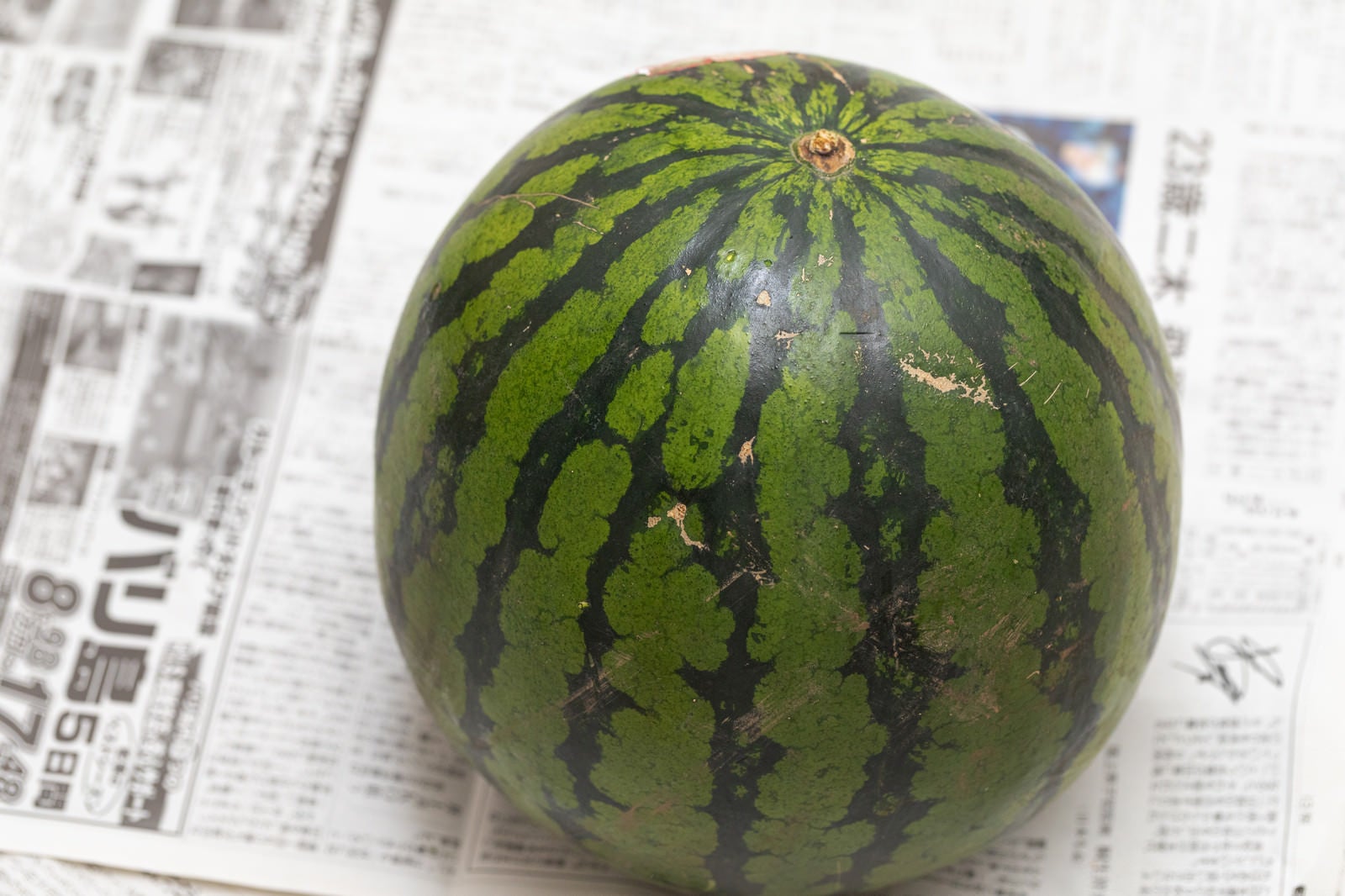 小玉スイカ カット断面 果物 画像1 無料写真素材 フリー素材「花ざかりの森