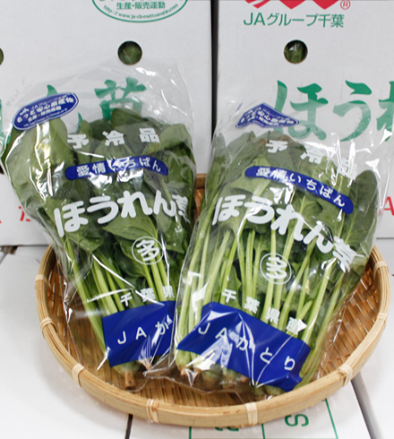 ブラボー ほうれん草- e-種や国内最大級の野菜種・花種・苗・農業資材の販売店