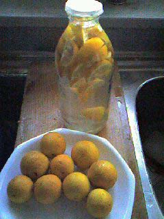 ふしぎな南国フルーツの食べ方 ライチ・フィンガーライム・ランブータン・キワノ・ココヤシ・ミラクルフルーツ 果物ガイド マイナビ農業