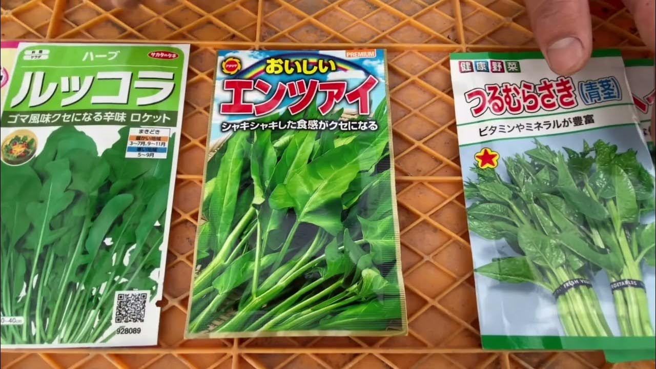 葉菜類 葉物野菜 の種 タネ サカタのタネ オンラインショップ