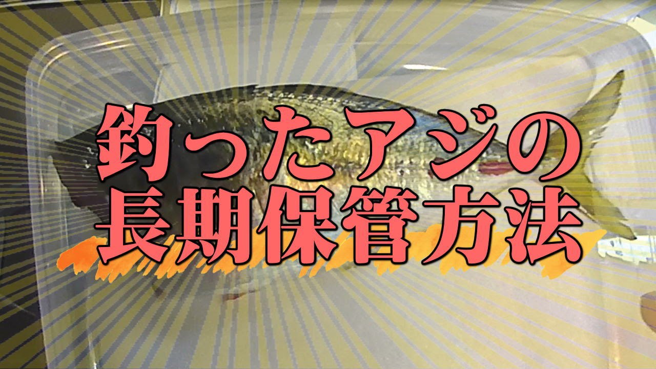 自家製干物作りの簡単テクも！アジの長持ち保存方法 選び方のコツから冷凍保存の仕方までkufura クフラ 小学館公式