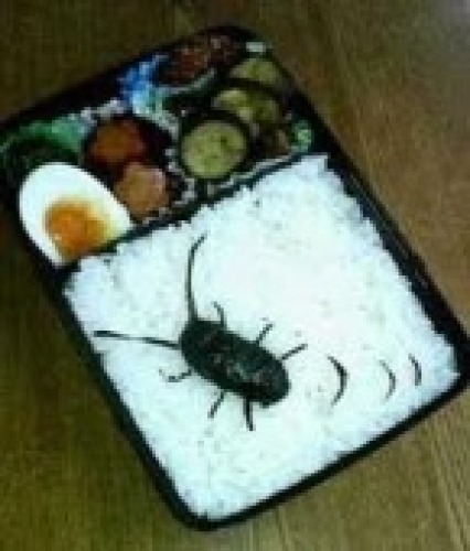 弁当で仕返し！！！徒然なるままに・ - 楽天ブログ