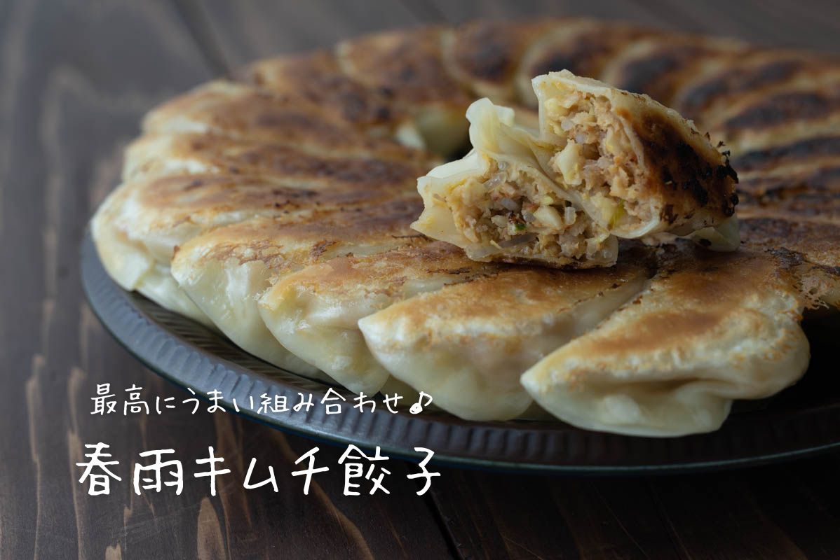 黄金キムチ餃子