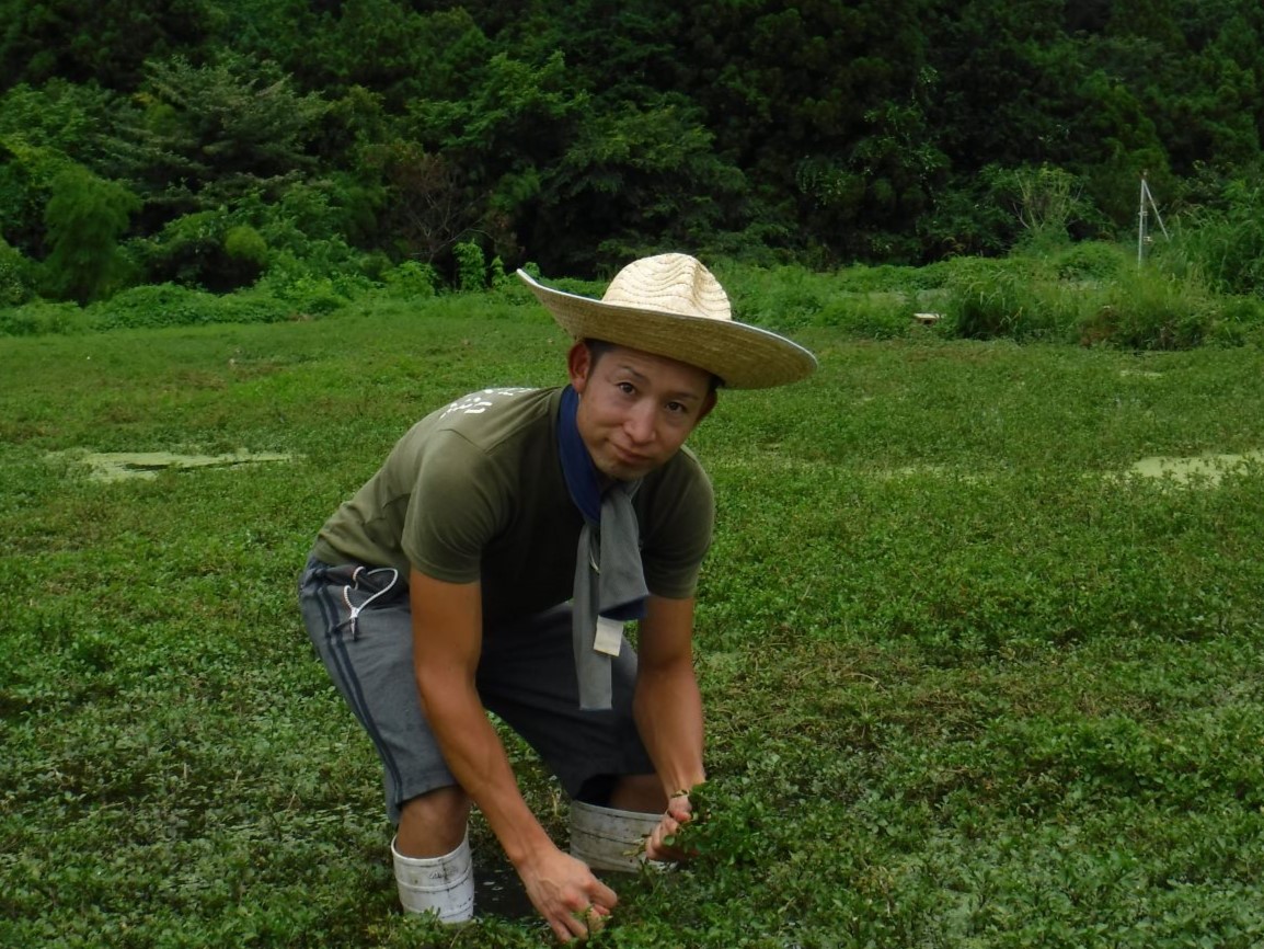 クレソン クレソン 越田農園HARVEST MARKET - 青森の収穫祭