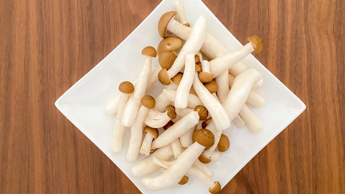 きのこは洗う？洗わない？ 管理栄養士が明かす