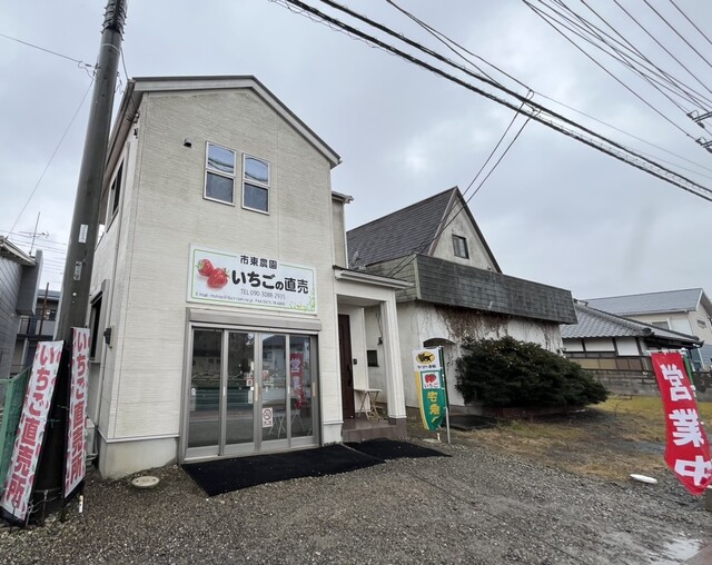 No.073市東農園のいちご かんなひめ 約900gフルーツ イチゴ 苺 千葉県 - 千葉県東金市ふるさとチョイス - ふるさと納税サイト