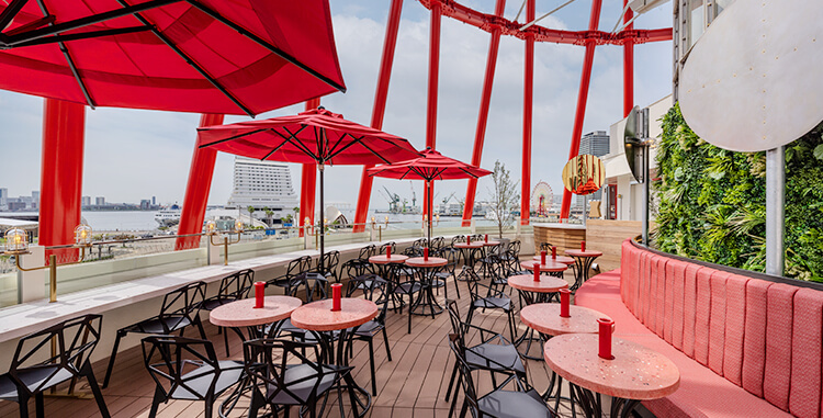 神戸のドッグカフェ特集！ペットOKのおすすめ施設12選 2023年