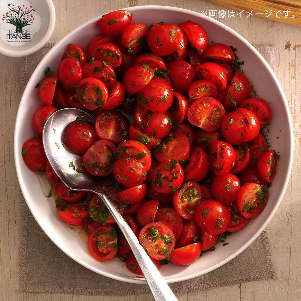 うれし野アグリ直売所 うれし野アグリ株式会社