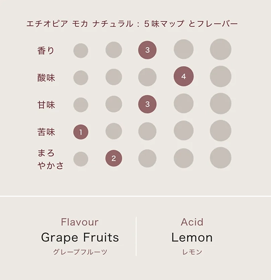 コーヒーの温度変化による味覚の違いって？ 実験してみた長野県長野市のコーヒー豆屋『ヤマとカワ珈琲店』