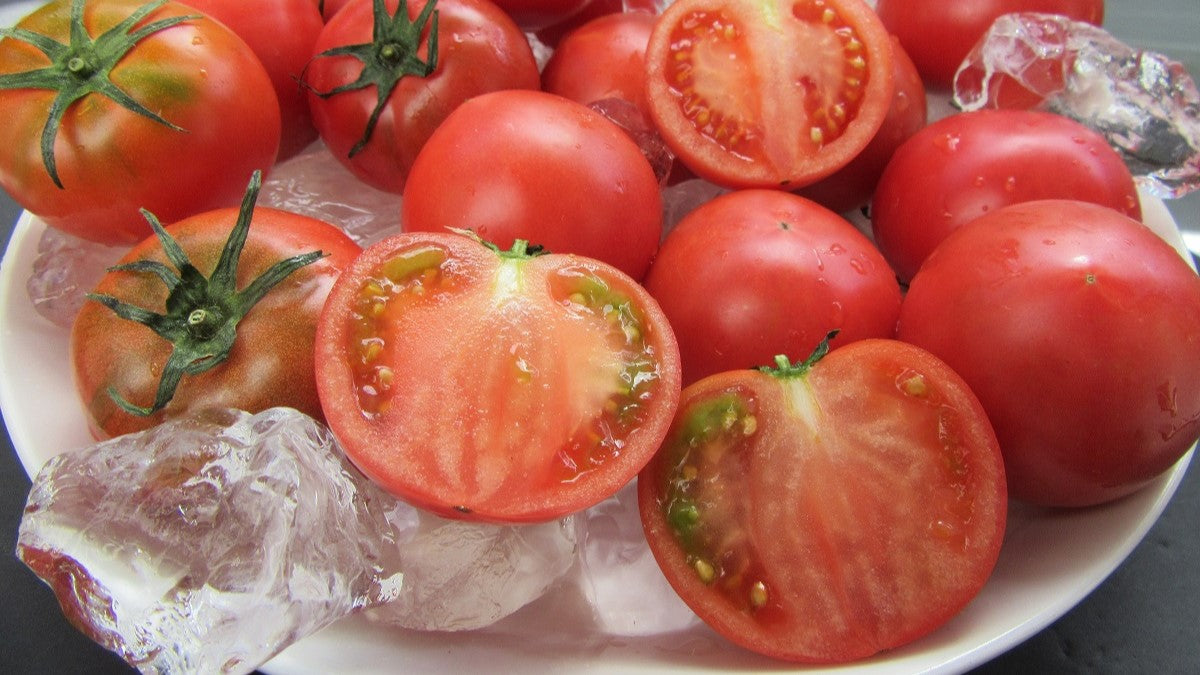 こじゃんとうまい！！高知野菜 - YouTube