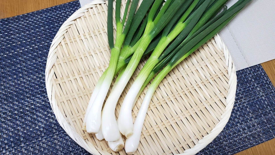 玉ねぎ・ネギのふるさと納税を探す 1ページ目 ふるラボ