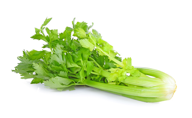 バジルの代わりに使える6つの選択肢 パセリ、大葉など、代替品の紹介グルメバ