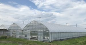 ビニールハウスの価格推移 今だと、うちのハウスいくらで建てれるんだろ