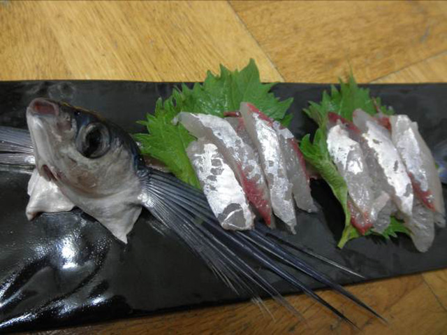 飛魚 あご西九州食財